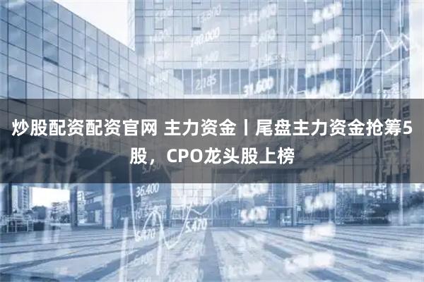 炒股配资配资官网 主力资金丨尾盘主力资金抢筹5股，CPO龙头股上榜